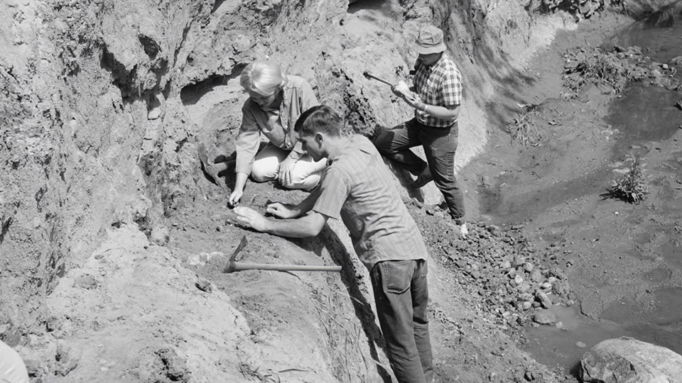 Geology 1966