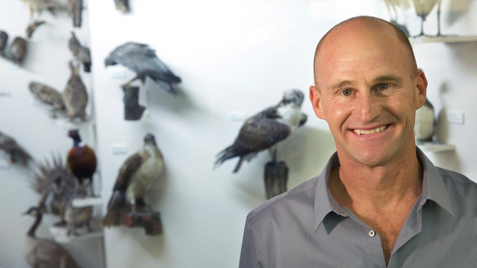 UNL biologist gains insights into genetic evolution of birds