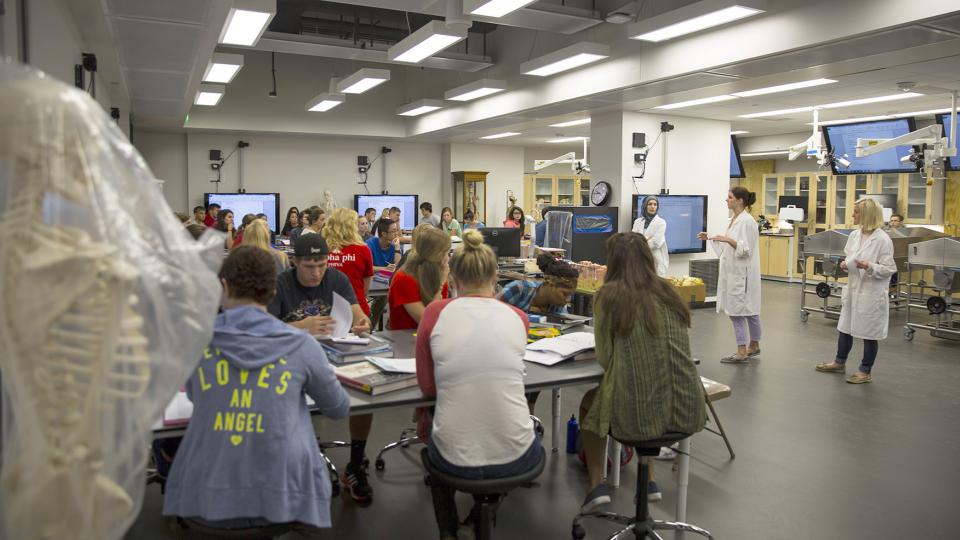 Redesigned lab spaces open in Manter Hall