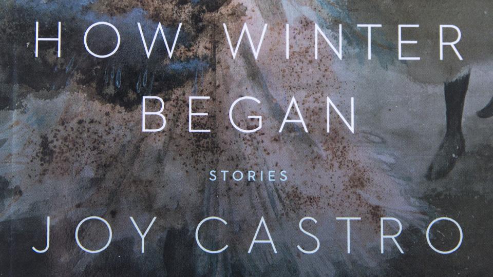 New Books: Oppressed women featured in Castro's 'How Winter Began' 