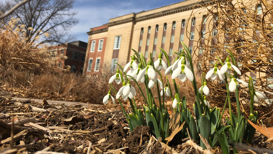 Is spring springing early in Nebraska?