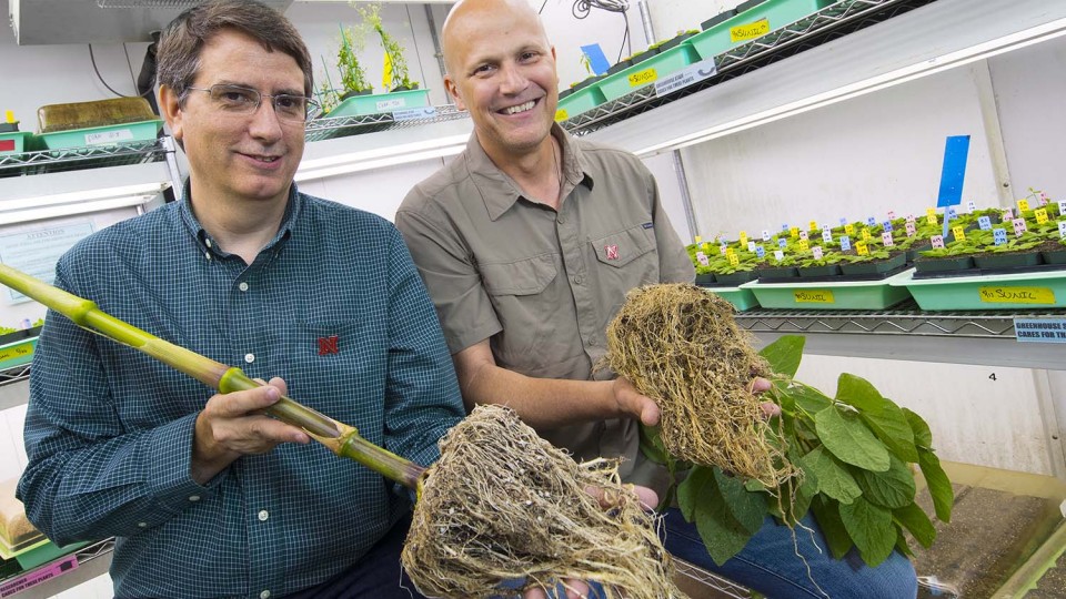 University earns $20M for partnership to improve crop productivity