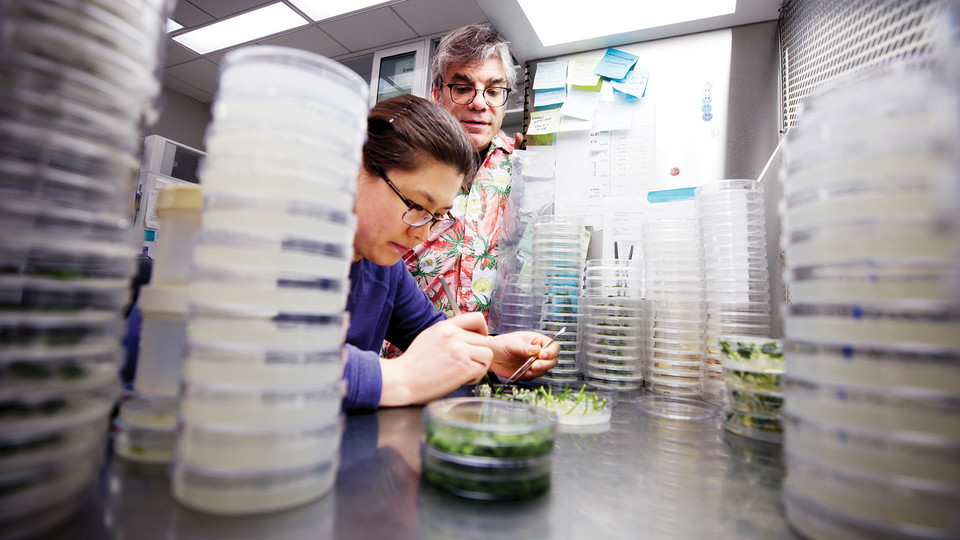 Nebraska's Center for Plant Science Innovation is transforming agriculture