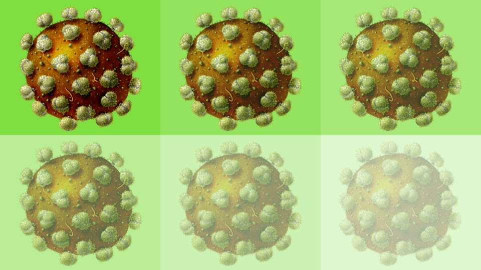 New approach improves potential HIV vaccine
