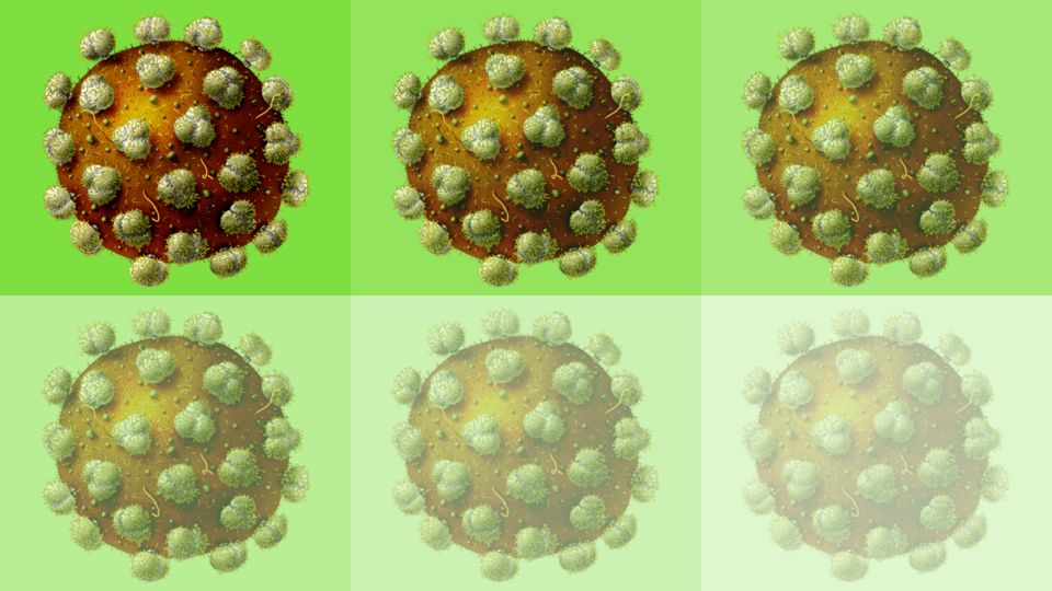 'On/off' switch brings researchers a step closer to HIV vaccine