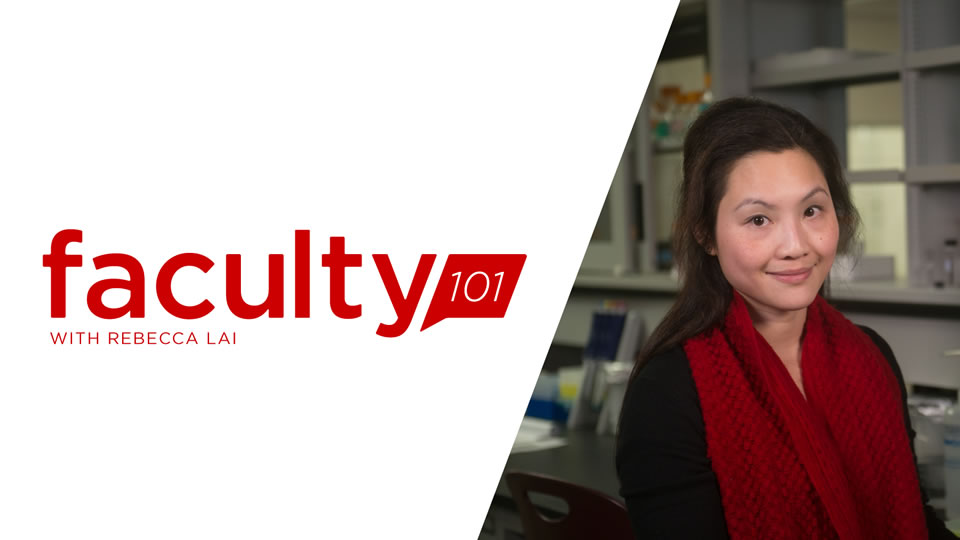 Lai shares magic of chemistry in Faculty 101 podcast