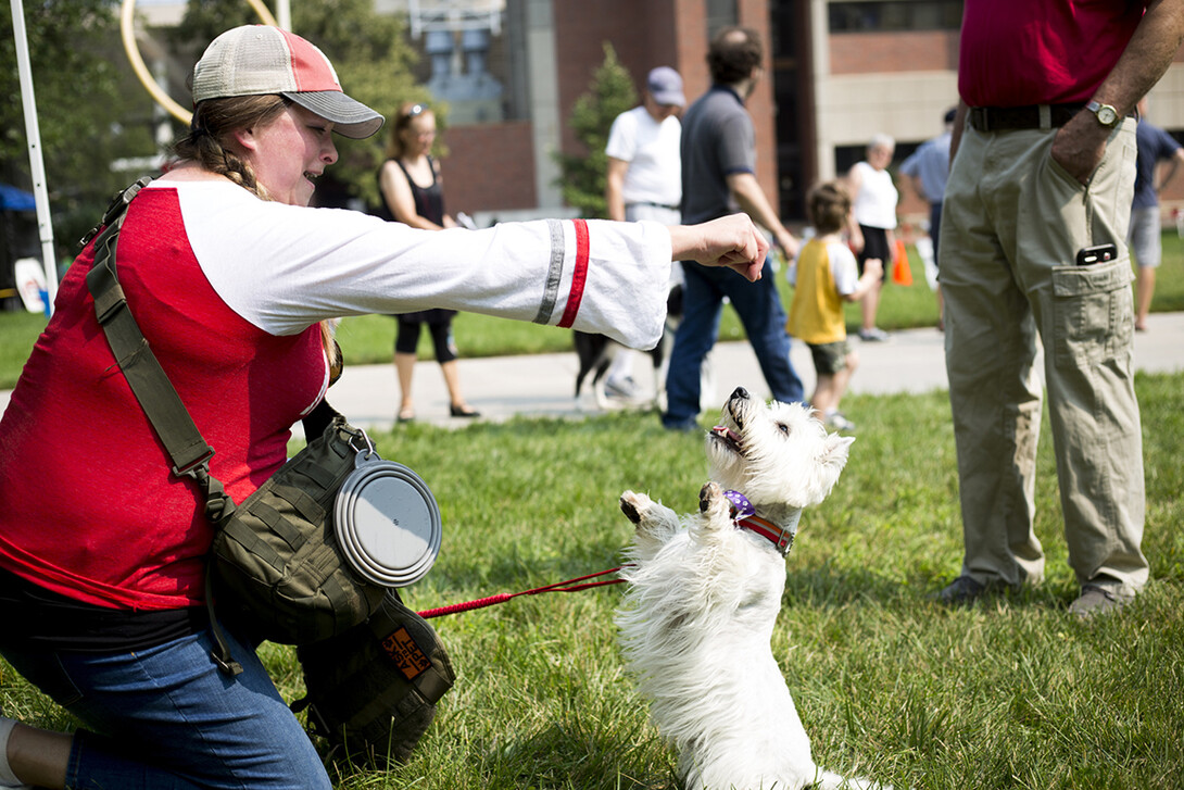 Campus going to the dogs again with DogFest