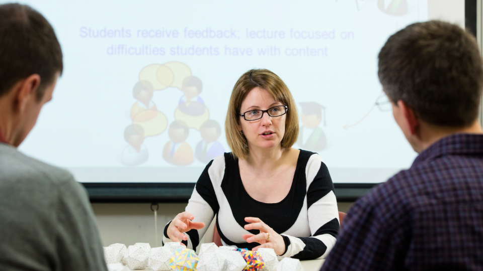 NSF award aids Stain’s research on STEM teaching in college