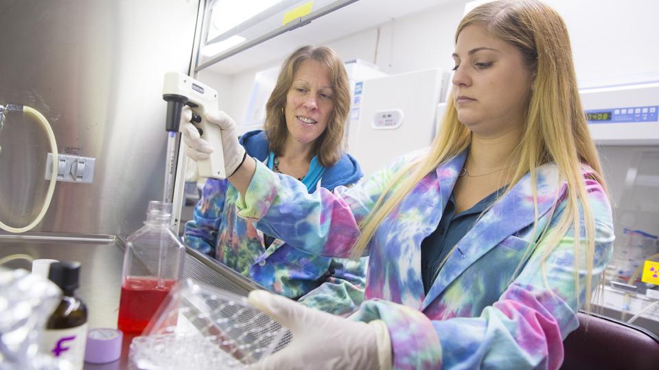 Program earns NIH grant to study molecular drivers of disease