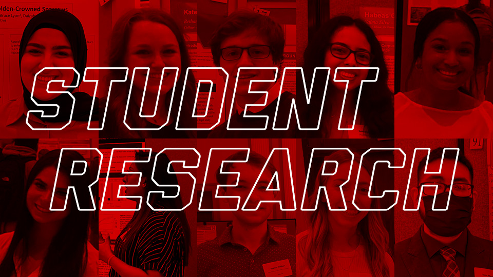 A few (of many) student presentations at Research Days 