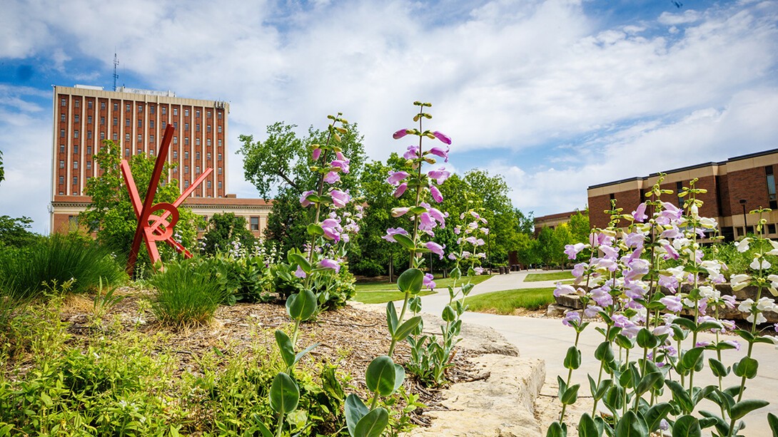 Campus in spring