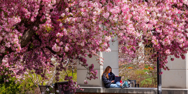 Student outside near a tree in the spring