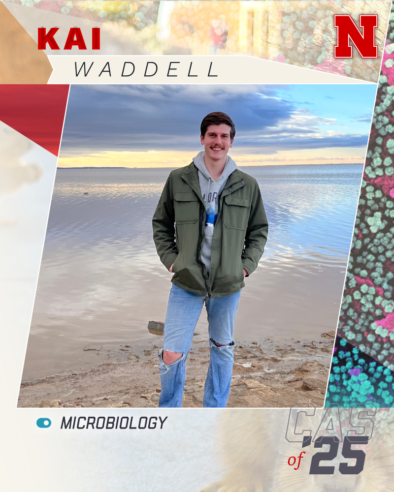 Waddell