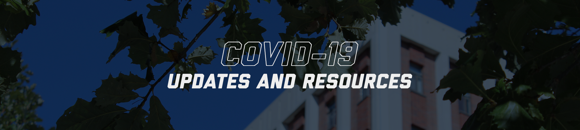 covid-19 banner