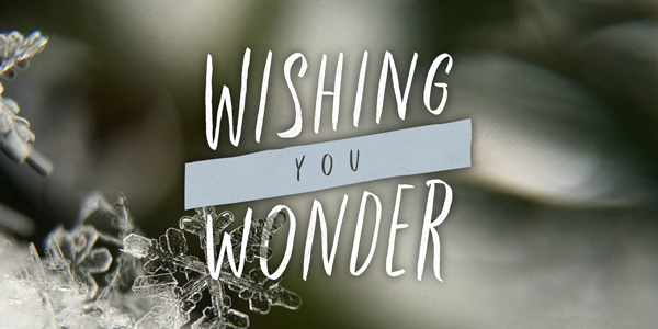 Wishing you wonder