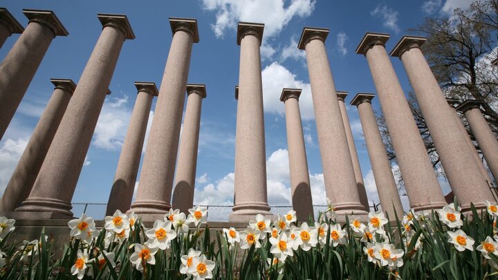 Columns on campus