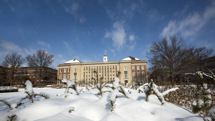 Snow on campus