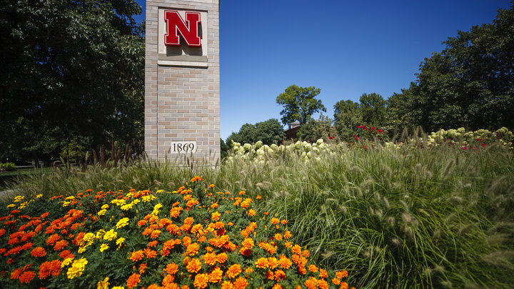 Campus flowers by N
