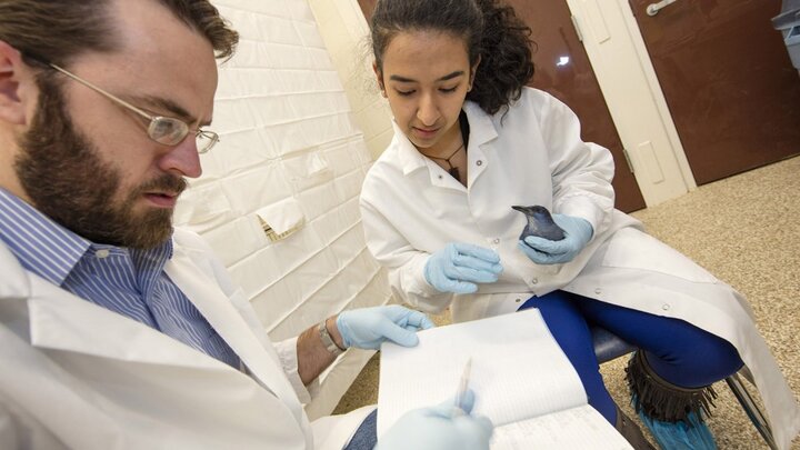 Jeffrey Stevens, assistant professor of psychology at UNL, and student Anna Rodriguez