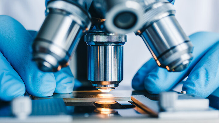 Gloved hands holding slide under microscope