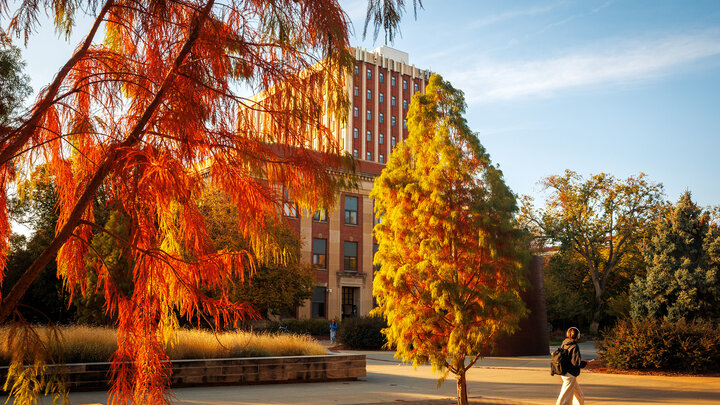 Red and orange leaves on tree branches frame the brick buildings, Burnett and Oldfather halls on campus.