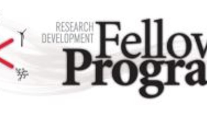 Fellows Program