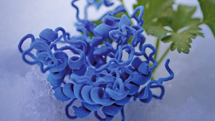 Close up of the JBC cover featuring research by UNL's Rebecca Roston.