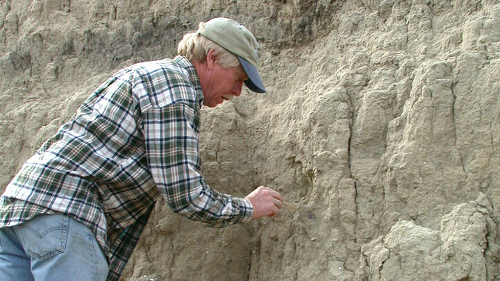 Steven Holen works to reveal a fossil. Holen and his wife, Kathleen Holen, are part of a research team that released information on humans arriving in North American 1,000 centuries earlier than previously believed.