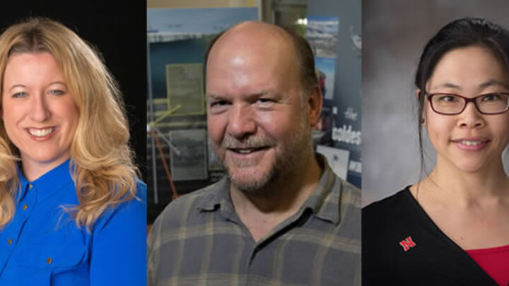 Kathy Castle, David Harwood, Yvonne Lai