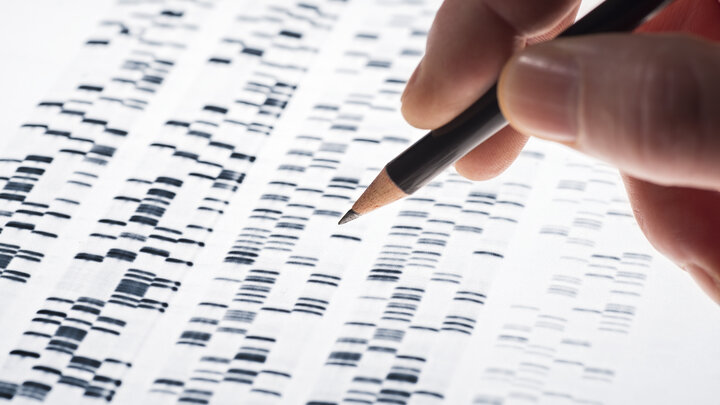 DNA test results