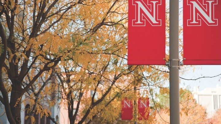 University flag